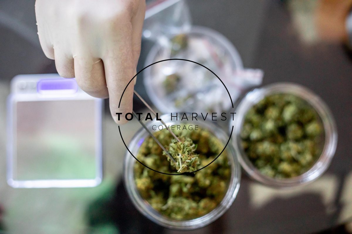 Shortage of Marijuana Testing Facilities in Maine