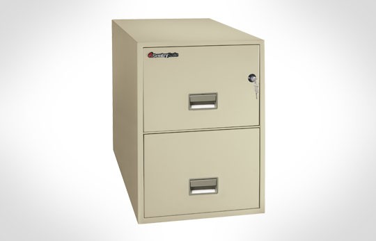 2G2531 SentrySafe Two Drawer Legal ***Discontinued***