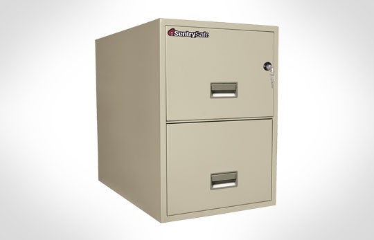 2G3131 SentrySafe Two Drawer Legal, 31" Deep **Discontinued**