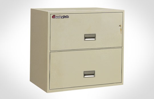 2L3010 SentrySafe Two Drawer, 30" Wide Lateral  **Discontinued**