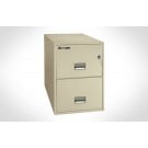 2G2531 SentrySafe Two Drawer Legal ***Discontinued***