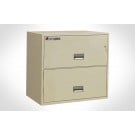 2L3010 SentrySafe Two Drawer, 30" Wide Lateral  **Discontinued**