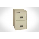 2T3131SentrySafe Two Drawer Letter, 31" Deep **Discontinued**