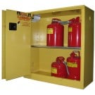 A230 - 30 Gal. capacity Flammable Storage Cabinet