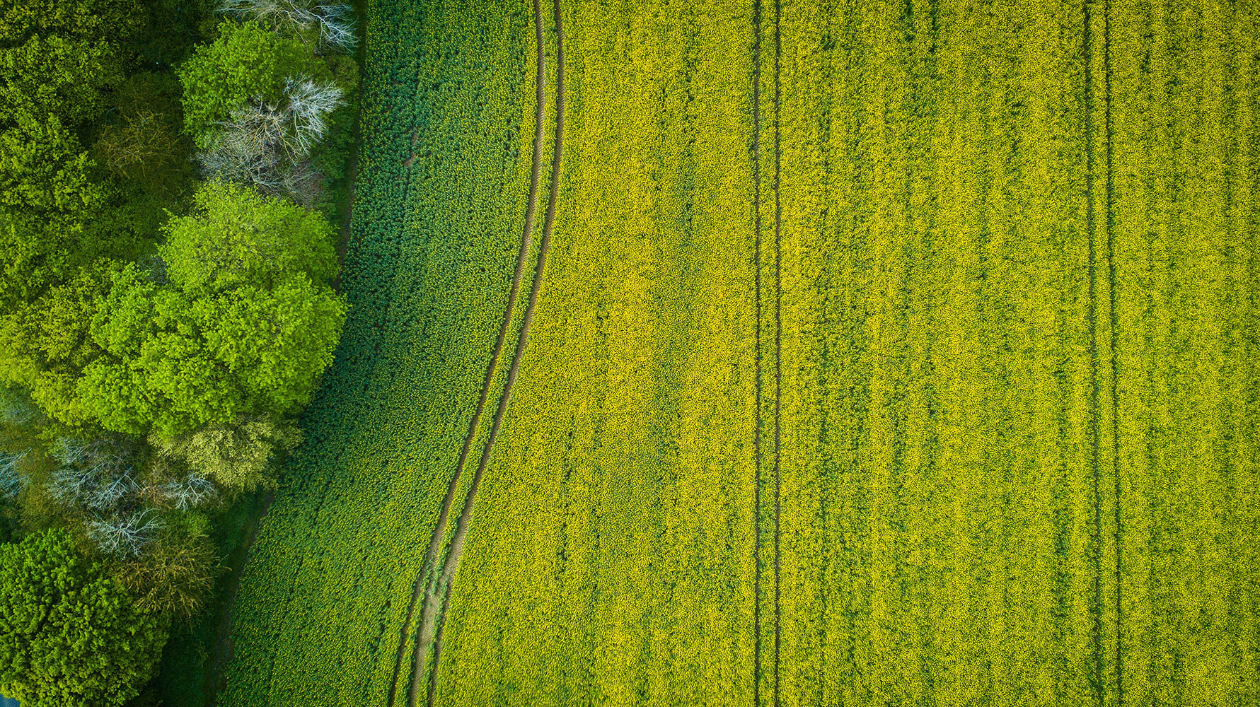 Field in Ohio